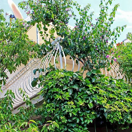 Rogoznica 1 Apartment *